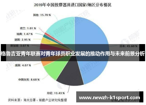 格鲁吉亚青年联赛对青年球员职业发展的推动作用与未来前景分析